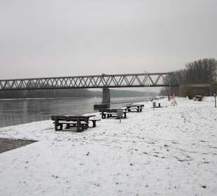 Am Rhein im Winter