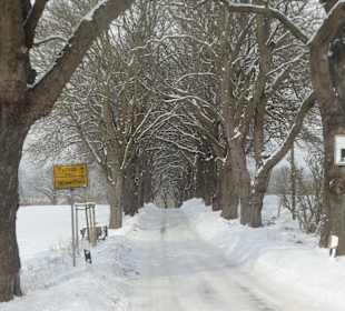 Wandern Putbus auf Rügen