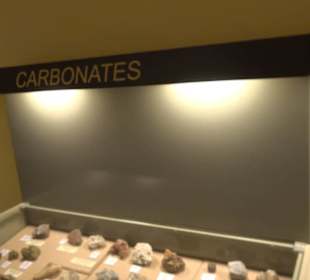 Naturhistorisches Museum