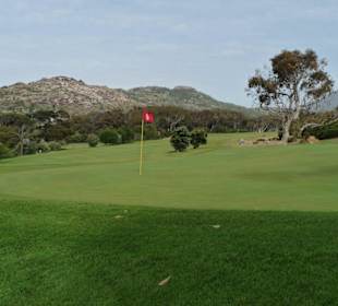 Clovelly Golf Club