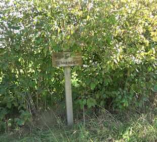 Arboretum Bondorf