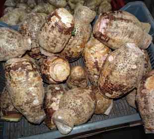 Rundgang über den Petit Marché von Saint-Denis