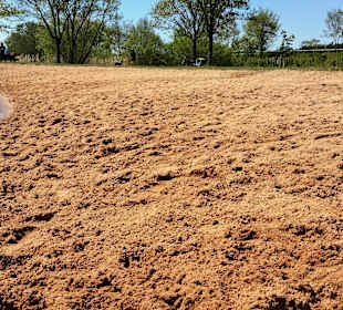 Der Sandstrand für Hunde