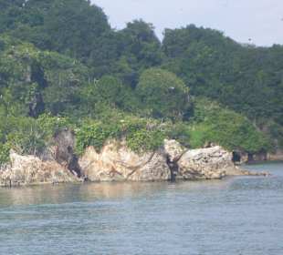 Vogelinseln im Nationalpark