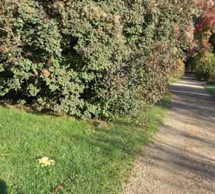 Botanischer Garten