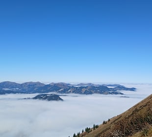 Blick ins Tal vom Fellhorn!😎
