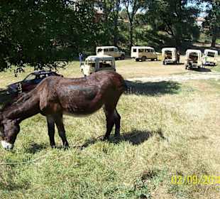 Tolles Erlebnis Off Road Adventure!