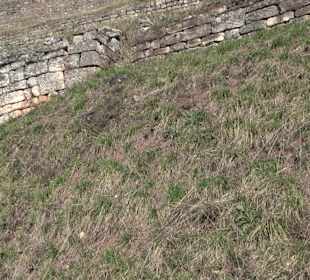Hirschauer Spitzbergwegle (Premiumspazierwanderweg