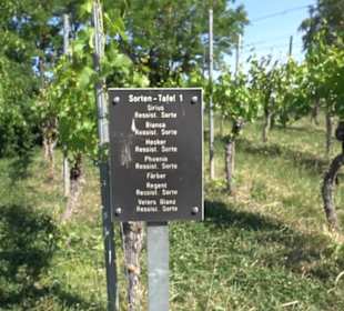 Früchtetrauf - Wurmlinger Kapellenwegle