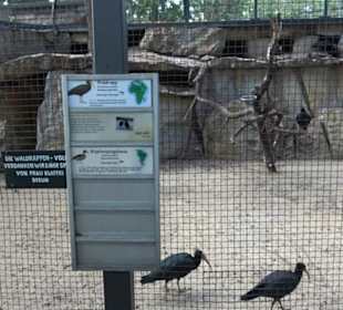 Zoologischer Garten