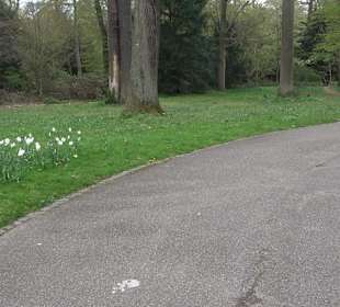Schlossgarten Karlsruhe