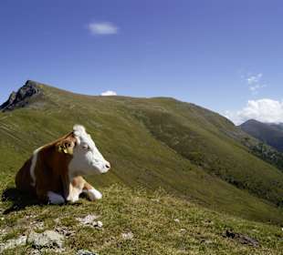 Almwiesen Nockberge