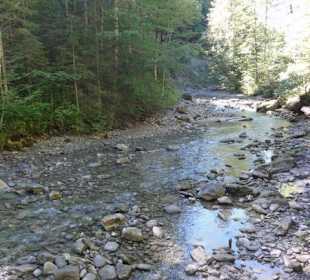 Tobelweg
