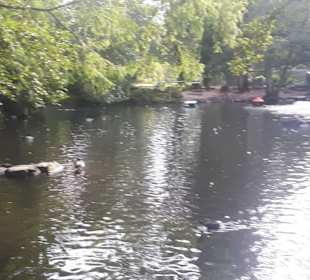 Kurpark