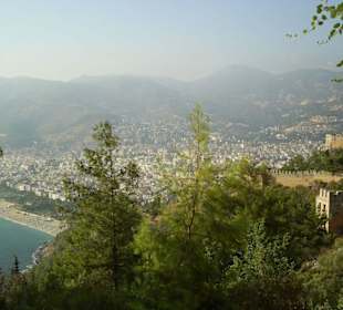 Widok ze wzgórza kale na plażę kleopatry