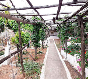 Lychnostatis Open Air Museum