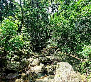 Parque Natural Obô do Príncipe
