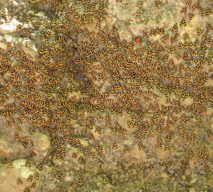 Im Tal der Schmetterlinge-toller Ausflug