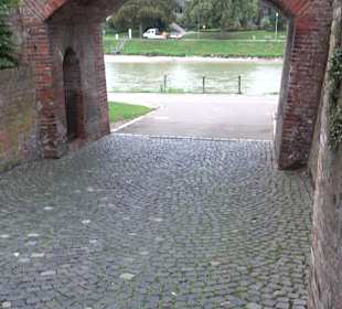 Donauwiese Ulm