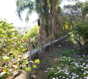 Blick hinaus nach Puerto