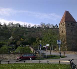 Gleich hinter dem Hotel, der Klosterberg