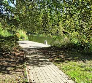 Impressionen aus dem Stadtpark von Lübeck
