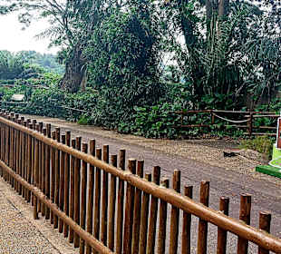 Singapur Zoo
