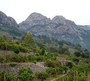 Am Weg von Fornalutx nach Sóller