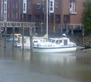 Segler bei Ebbe im Schlick