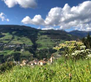 Wandern Lajen