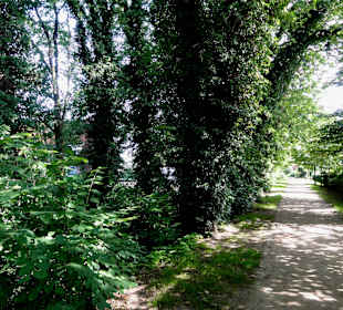Spaziergang über den Stadtwall Wildeshausen
