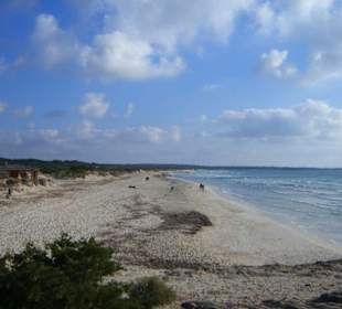 Es Trenc Naturschtuzgebiet