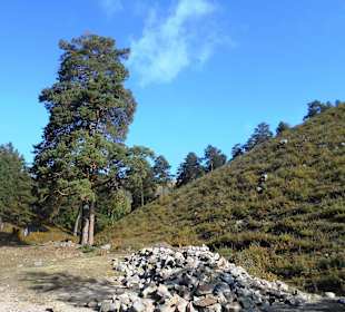 Tempel Aglag Buteelin Khiid