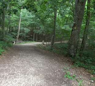 Hochgeträumt Premiumwanderung