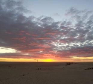 Douz Kamelstation und Sonnenuntergang