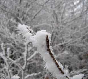 W drodzę na Ślężę