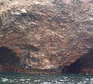 Ausflug Ballestas Inseln