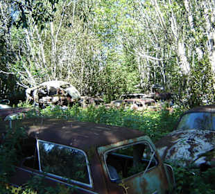 Autofriedhof am Foxen