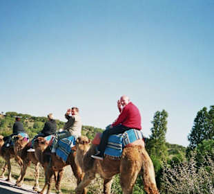 Kameltour