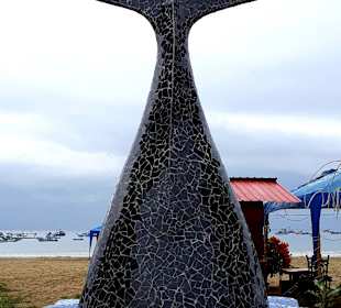 Rundgang Puerto Lopez