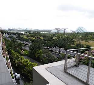 Widok na Gardens by the Bay