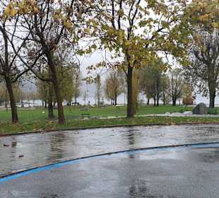 Richtung Ufer vom Lago