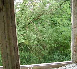 Szpital Psychiatryczny Zofiówka