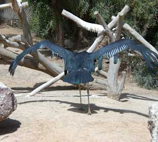 Große Flügelspannweite