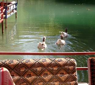 Andere Besucher bei Ada Picknick