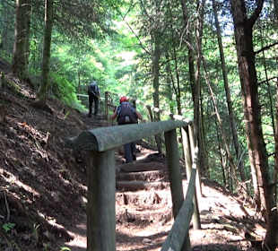 Griesbacher Wasserfälle Bad Griesbach
