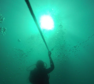 Endlich erblicken wir die Unterwasserwelt