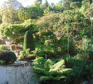 Berg Monserrate/ Bogotá