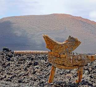 Hier geht es zum Islote de Hilario