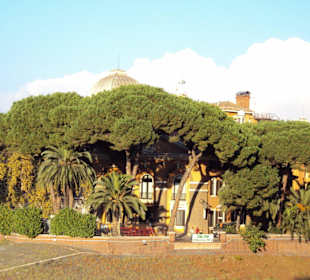 Blick auf die Tiberinsel